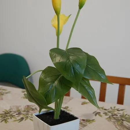 Donato Apartmán *