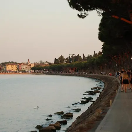 Donato Daire Peschiera del Garda